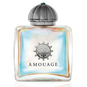 Amouage Womens Fragrance Portrayal 100 ml